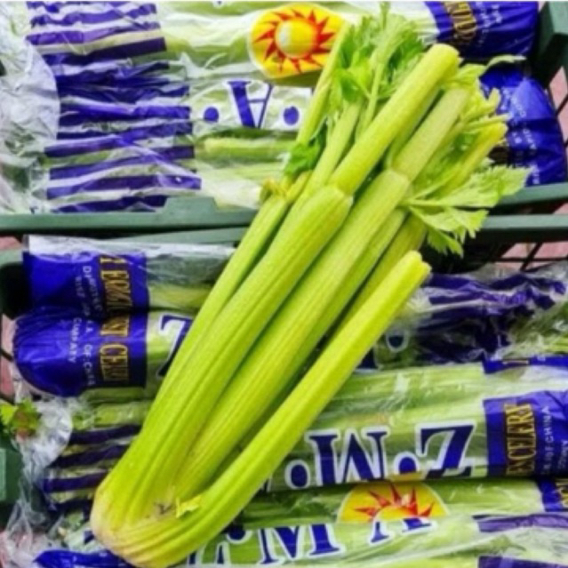 

Seledri import fresh