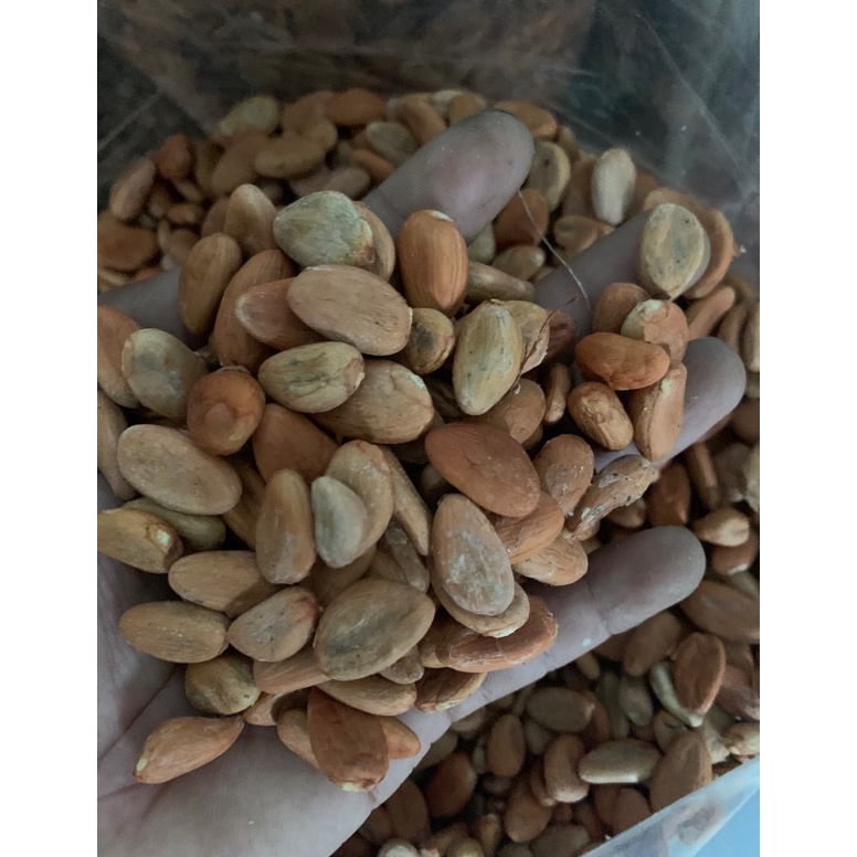 

Pal!ng Popul4r biji cokelat / kakao kering Shopee Sale