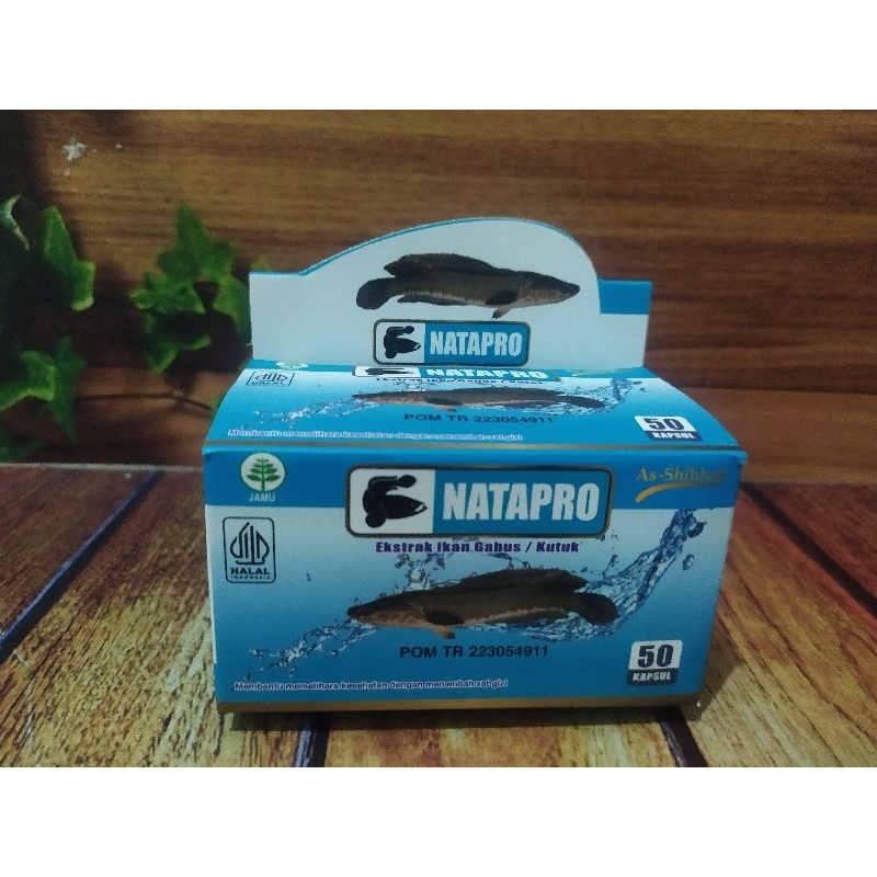 Natapro Kapsul Extrak Ikan Gabus 50 Kapsul Kutuk Premium Proalbumin