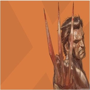 

paint by numbers 20x20CM wolverine
