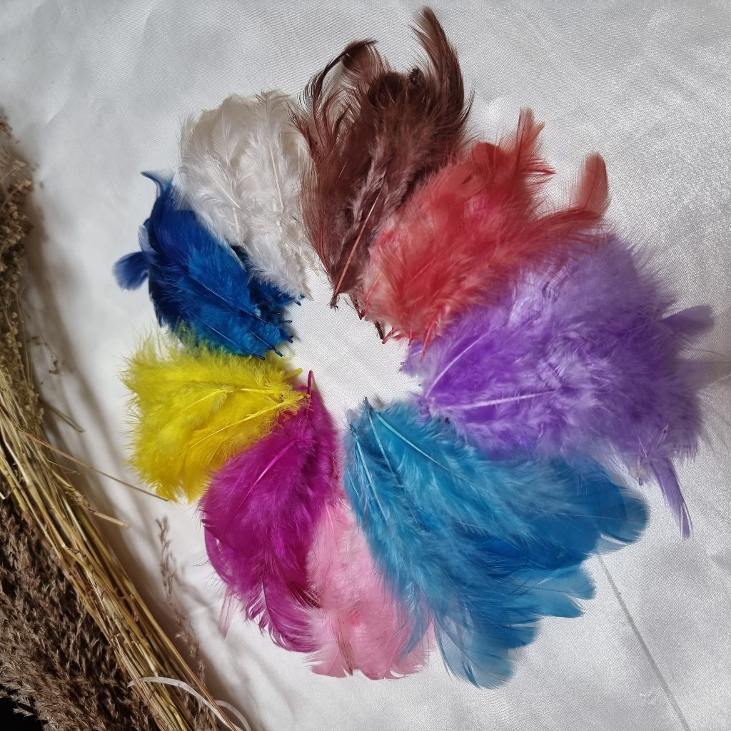 Jual Bulu Ayam Warna warni Halus / Bulu ayam Hias / Bulu ayam Warna