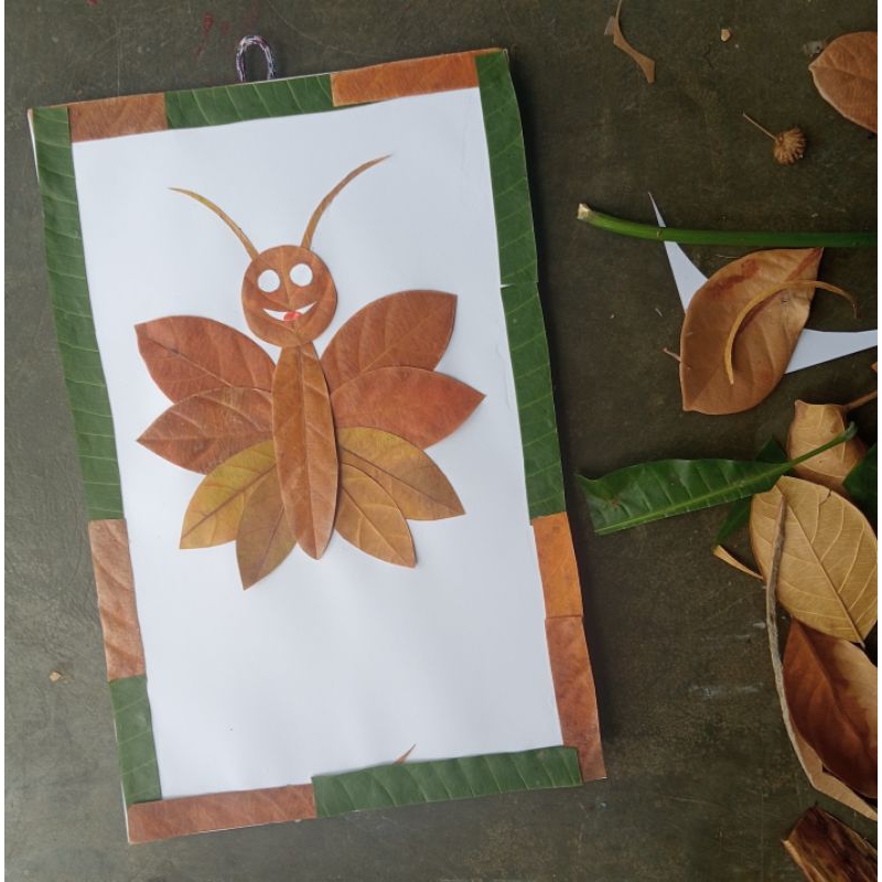 Kolase daun kolase hewan kolase kupu kupu kolase hewan metamorfosis