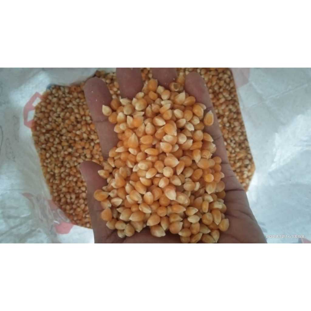 

Jagung Yellow Pop Corn 250 Gr