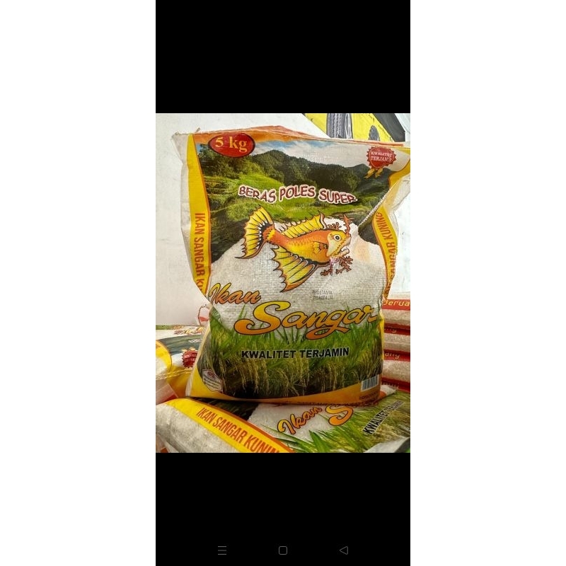 

beras ikan sangar kuning