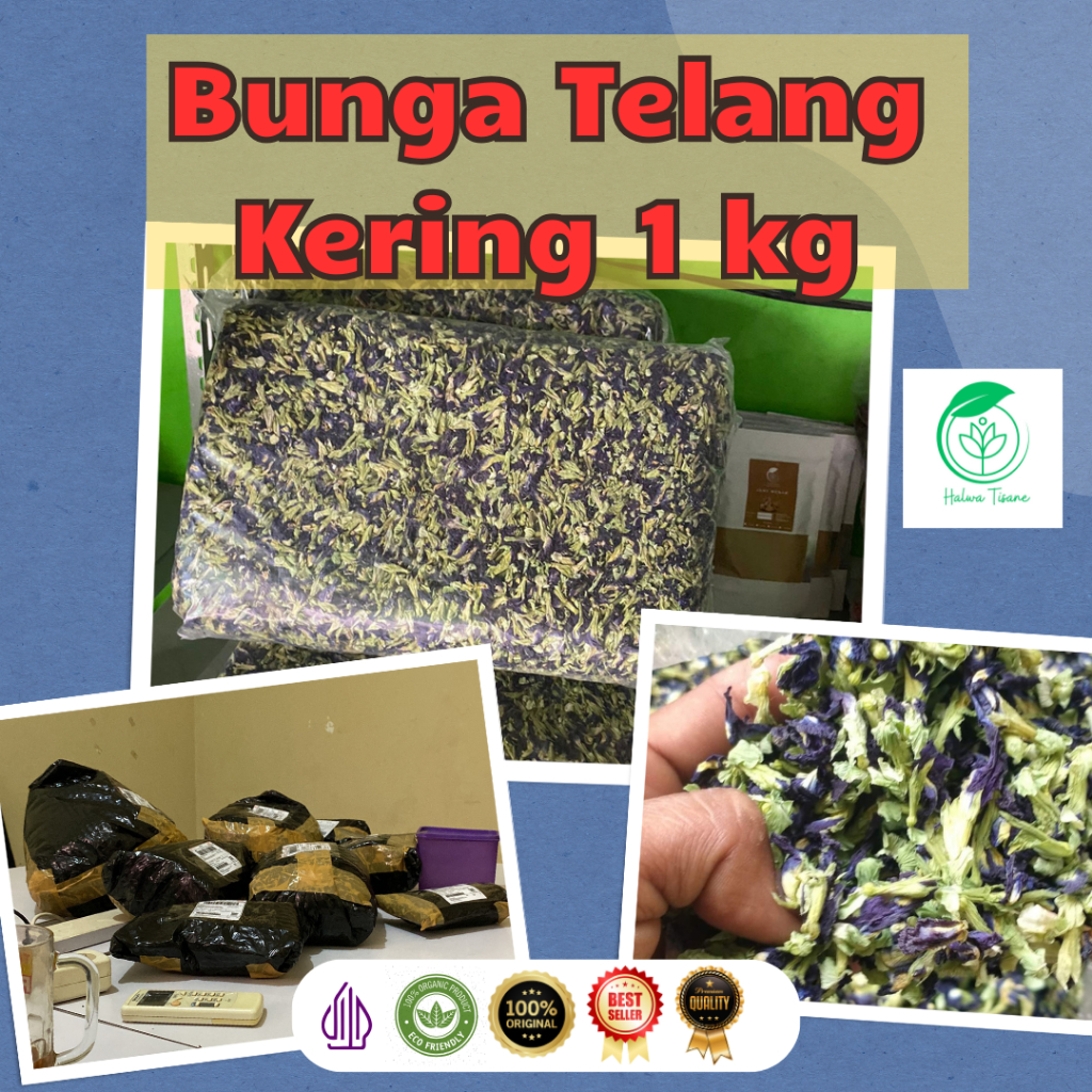

Butterfly Pea Tea Teh Bunga Telang 1kg Bisa Dijual Lagi Pengeringan Oven Jenis Bunga Telang Tumpuk Lebih Wangi Warna Pekat