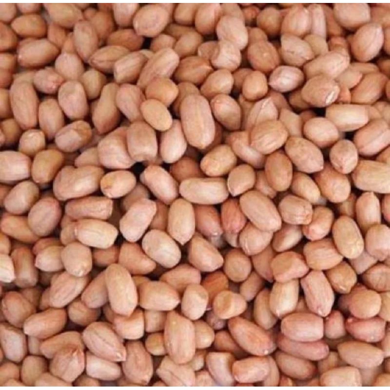 

Kacang tanah 1Kg paket termurah