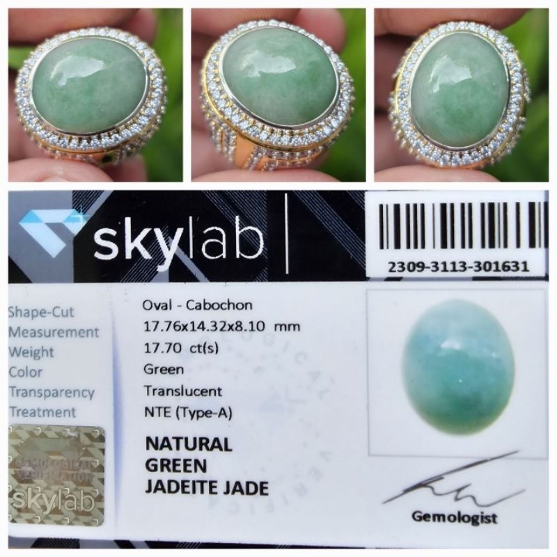 Natural Giok Burma Myanmar Jadeite Jade Type A Memo 17.70 crt