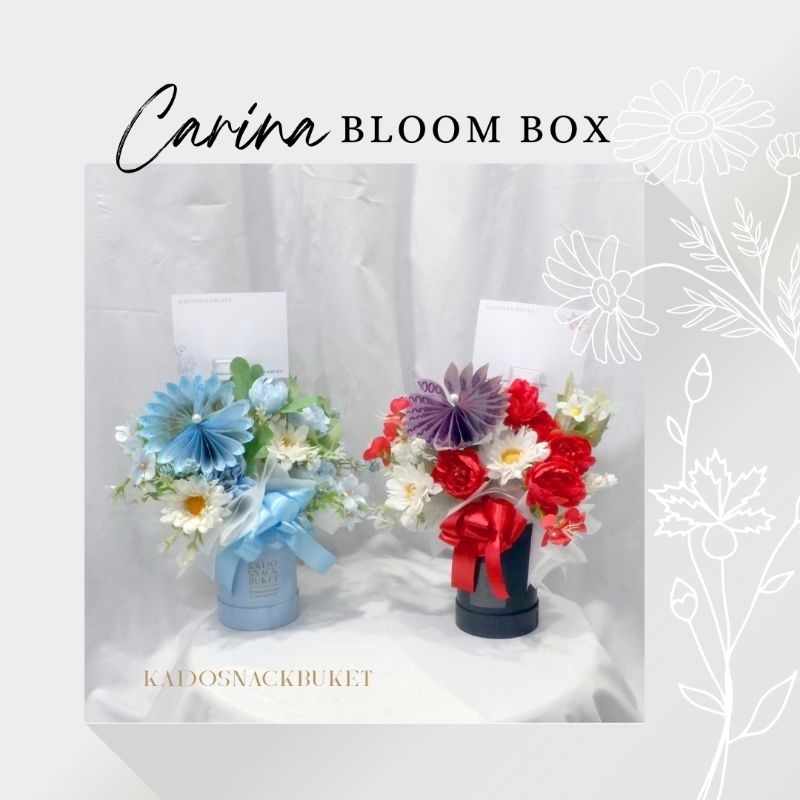 

CARINA BLOOMBOX / MONEY BLOOMBOX