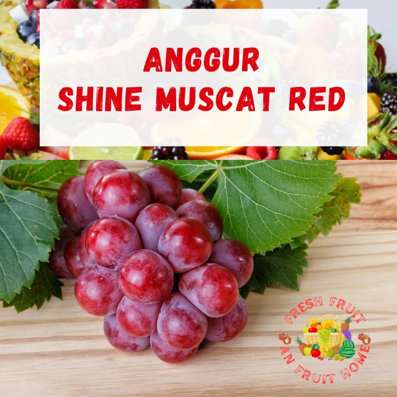

Anggur Red Muscat Pack 500g