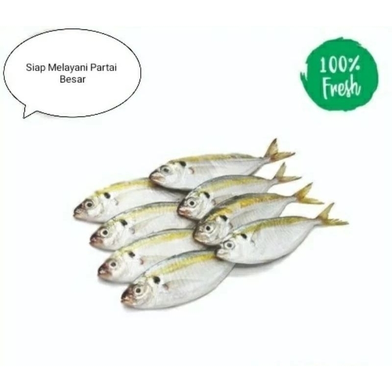 

ikan selar fresh harian 1 kg