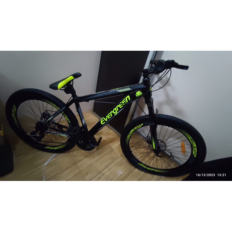 Sepeda Gunung MTB EVERGREEN 580