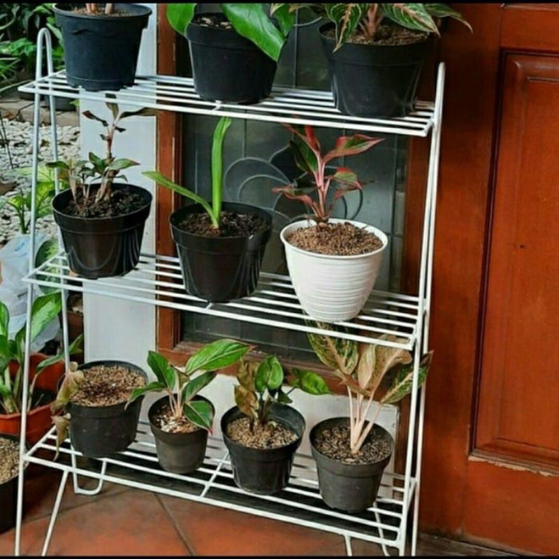 Rak Sepatu 3 Susun Tanaman Hias Planter Minimalis/Rak Tanaman Minimalis/Rak Pot Bunga/Rak Bunga Besi/Standing Pot Besi/Rak Bunga Murah