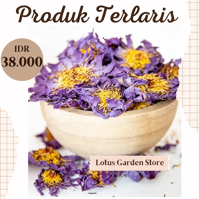 BUNGA LOTUS BIRU KERING / DRIED BLUE LOTUS PREMIUM GRADE A 