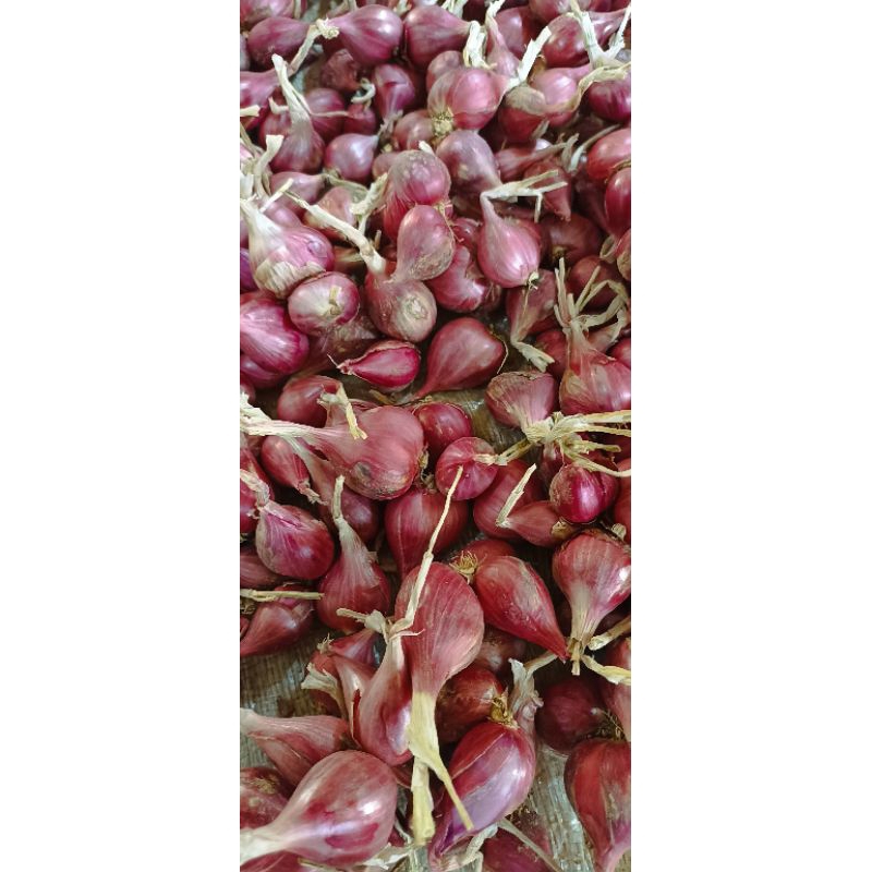 

Bawang Merah Super 1kg