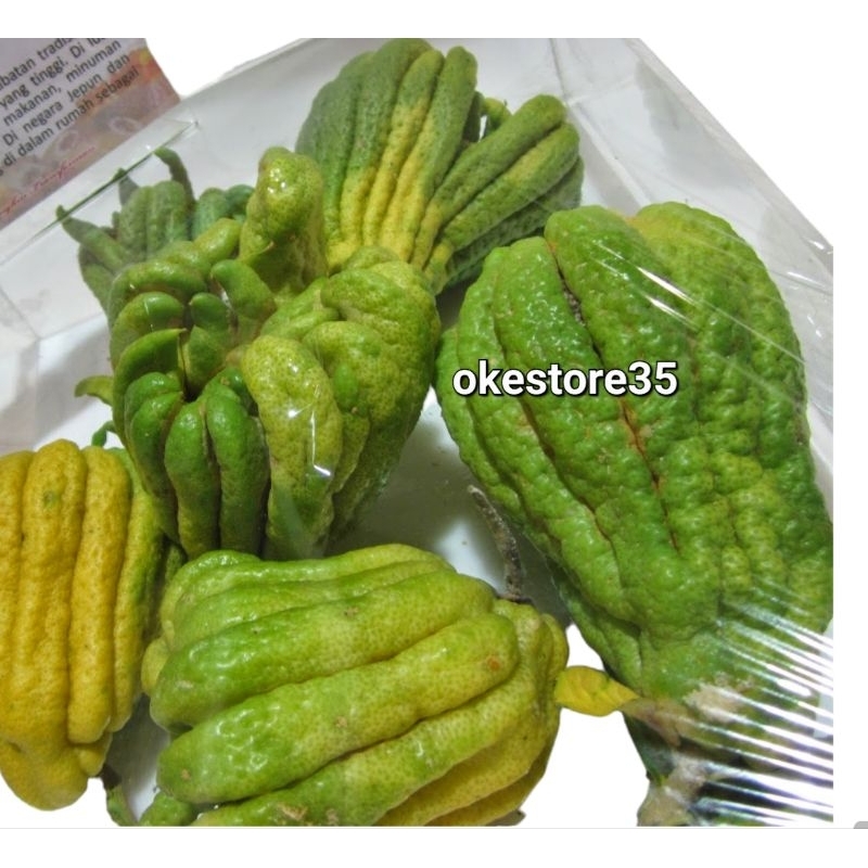 

1 buah jeruk kuku harimau ukuran Besar | Mudra | Finger Citron | Citrus medica var.sarcodactylis | limau cakar harimau segar