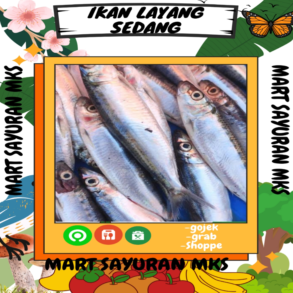 

Ikan layang sedang