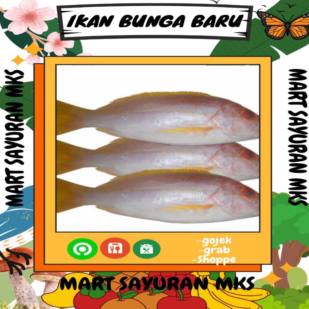 

Ikan bunga baru