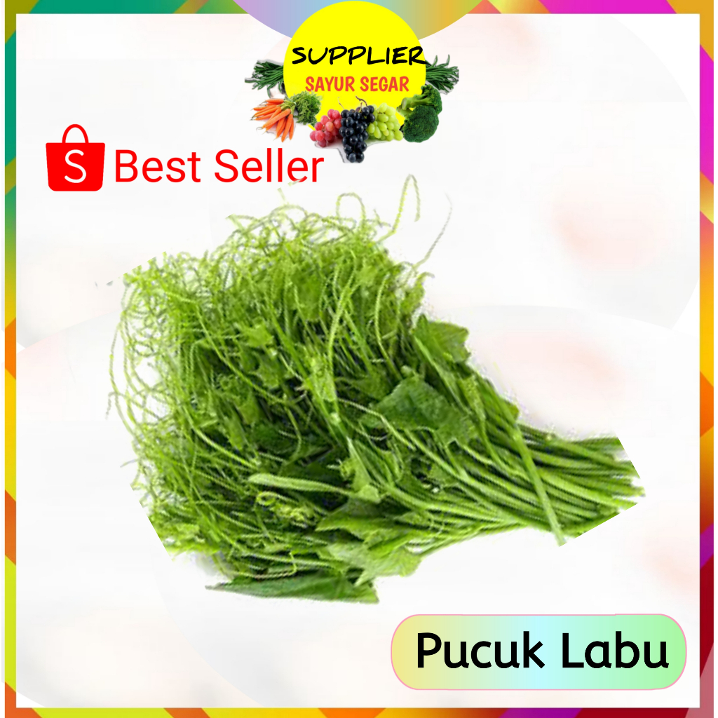 

Daun Pucuk Labu Per Ikat - Supplier Sayuran Segar Palembang