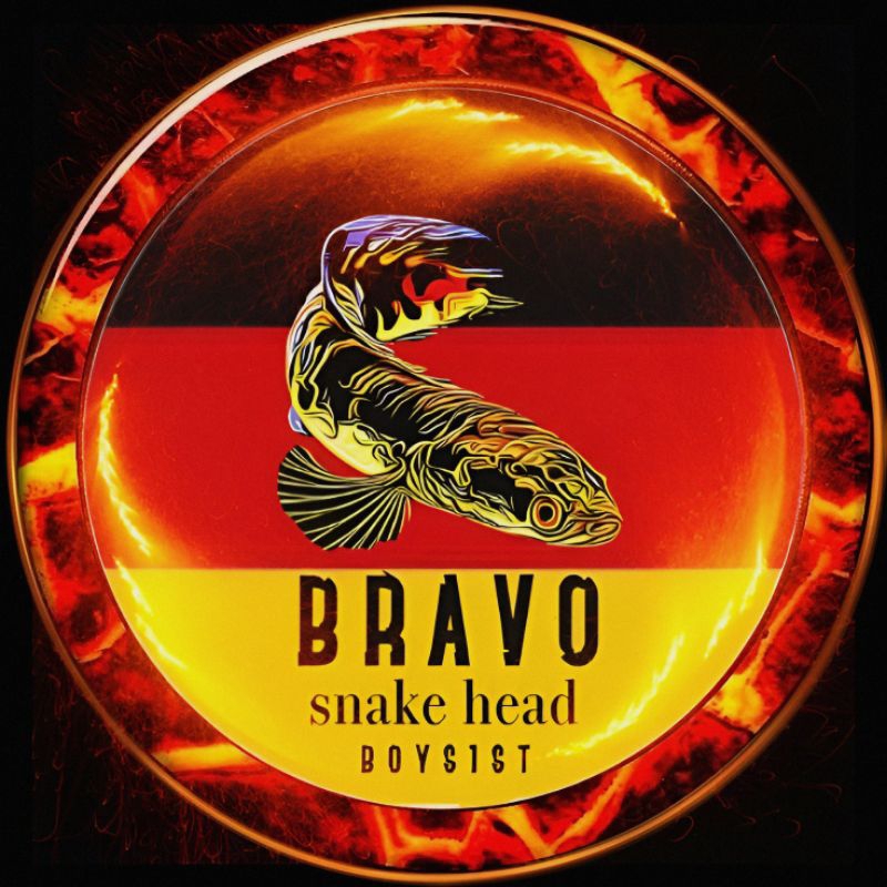 

Stiker Chana Stewarti Unik 15+cm