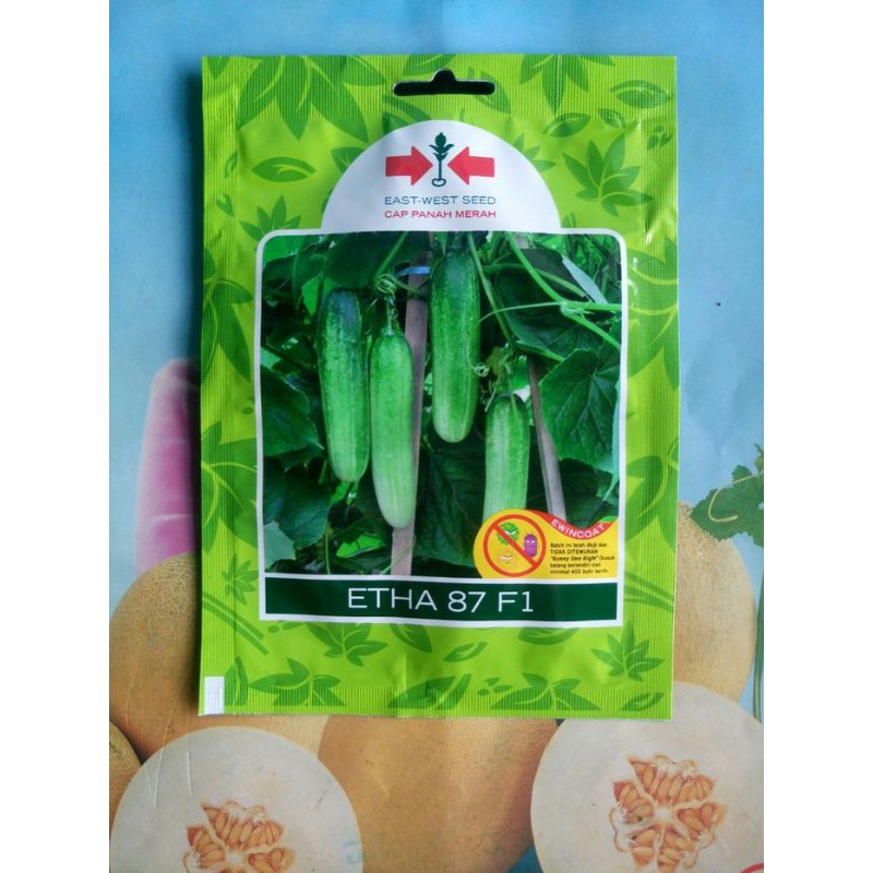 Benih Bibit Timun Etha 87 F1 (Panen Melimpah, Tahan Virus) Isinya 800 Butir Kadaluarsa 2026 Terbaru 