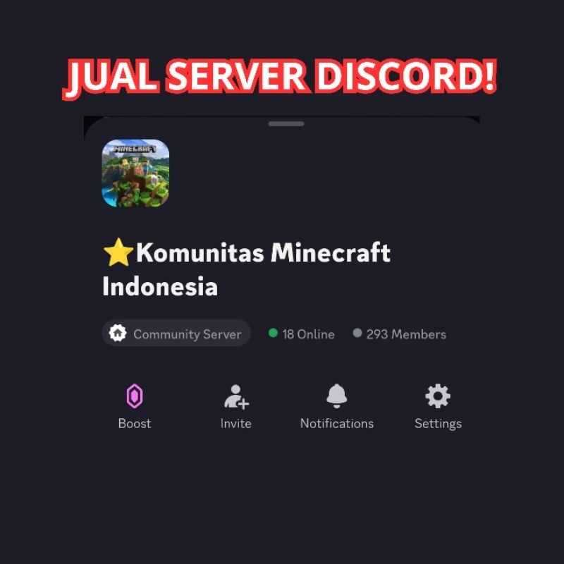 Server Discord 250 an member