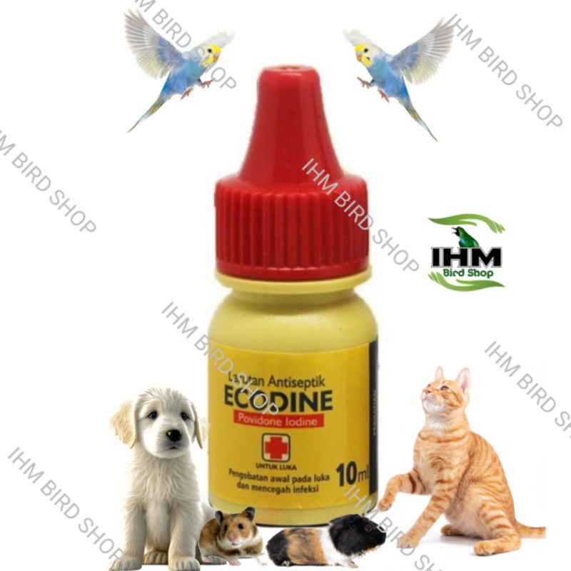 Ecodine Obat Luka Kucing Anjing Kelinci 10ml Mengobati Luka Basah & Kering, Luka Berdarah, Koreng.