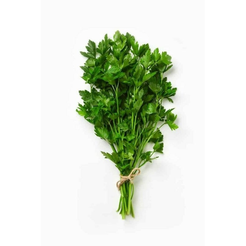 

Daun Seledri Segar Per Pack