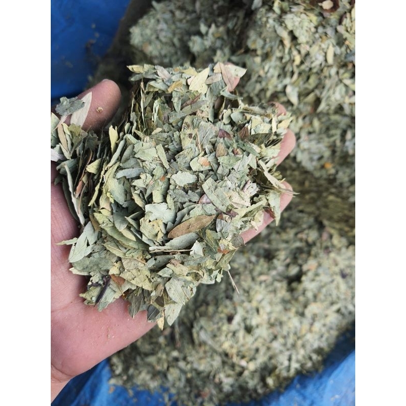 

Daun jati cina/Senna lives 1kg