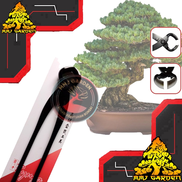 MMJ GARDEN-ALAT BONSAI Catok Bonsai Cembung Ryuga RC18