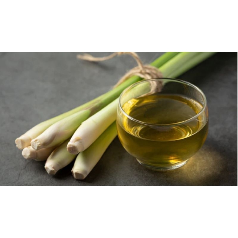 

6 pcs Batang Sereh fresh Petik langsung