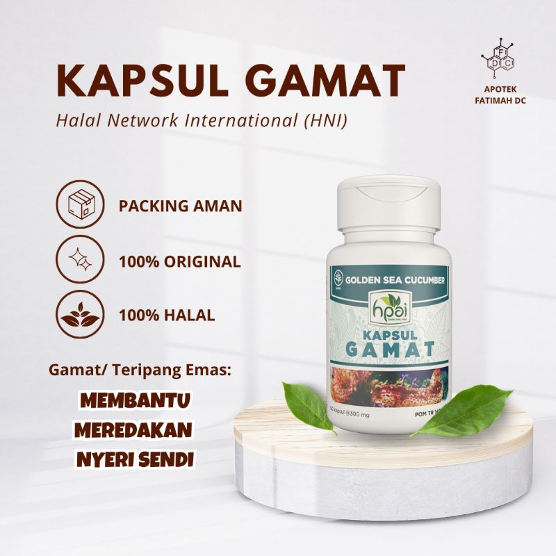 KAPSUL GAMAT HNI HPAI (SUPLEMEN HERBAL NYERI SENDI)