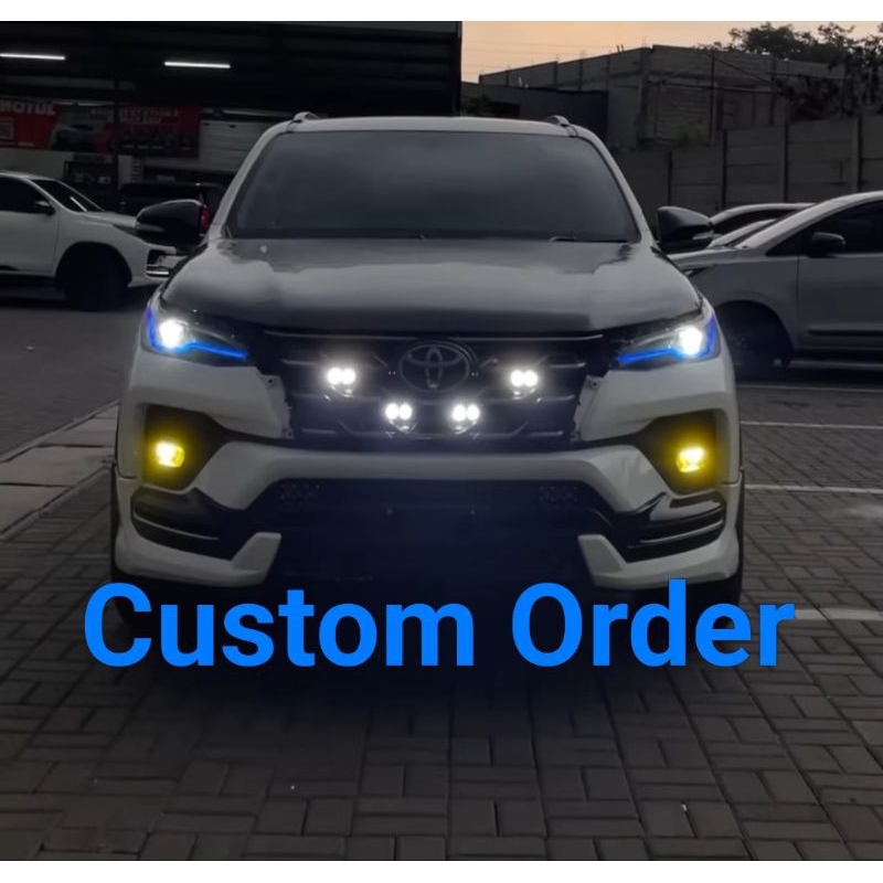 Custom Order Biled / Mini Projie