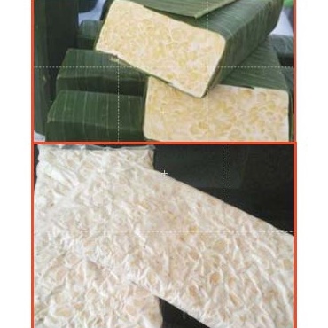 

KODE FAX17 Tempe 1 pcs