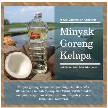 

GARNIS MINYAK KELAPA 1 LITER