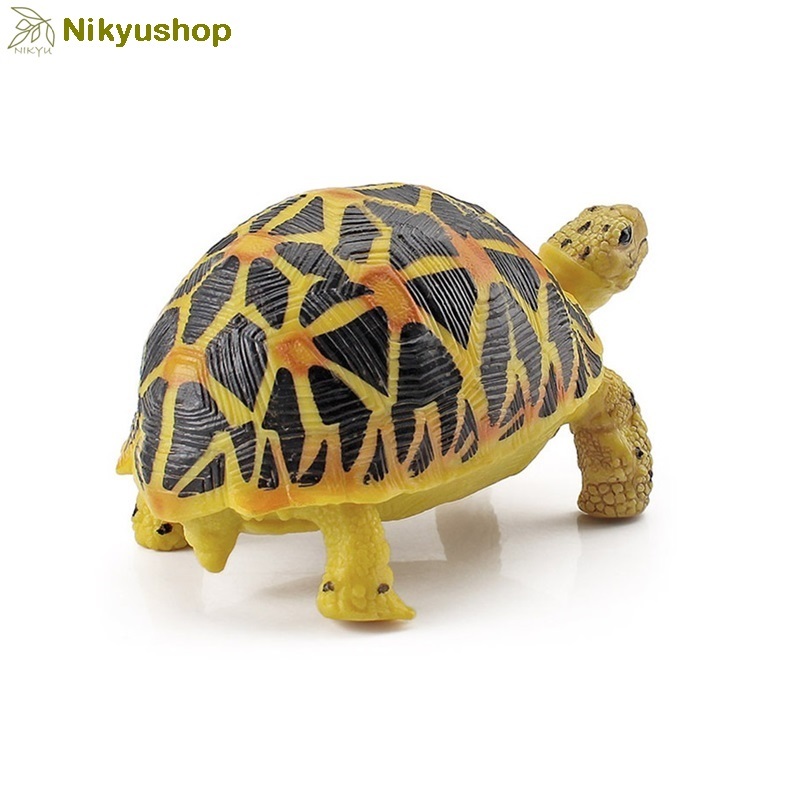 [Nikyushop] Mainan Edukasi Pajangan Replika Hewan Kura Kura Radiated Tortoise Animal Figure