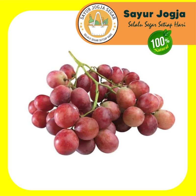 

BUAH ANGGUR MERAH [250 gram]