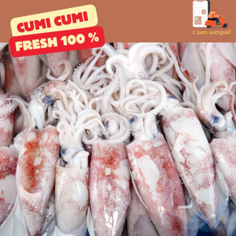 

Cumi cumi Seafood Sotong Fresh Fish 500 gram KIRIM INSTAN BANDUNG