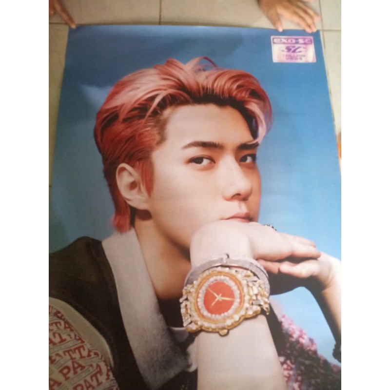 poster sehun Exo fancon SC official #exo #sehun