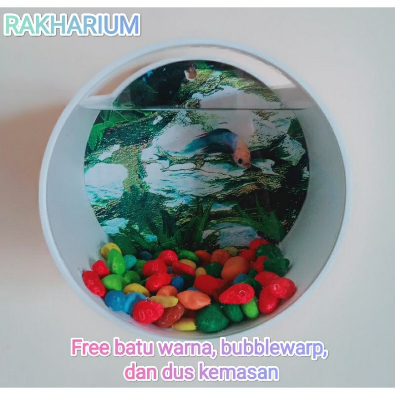 AQUARIUM DINDING/AQUARIUM MINI/AQUARIUM PVC AKRILIK/AQUARIUM IKAN HIAS/SOLITER