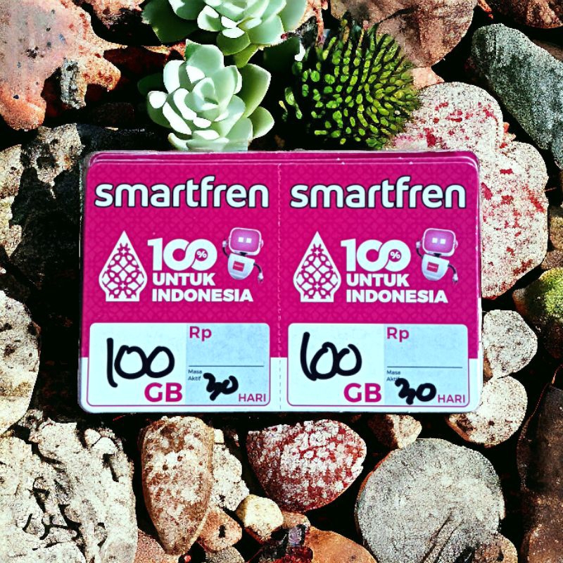 Voucher Data Smartfren Murah Mini Jumbo 100Gb/30hr