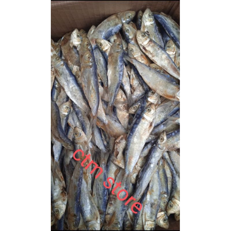 

ikan asin tanjan/tembang 1kg