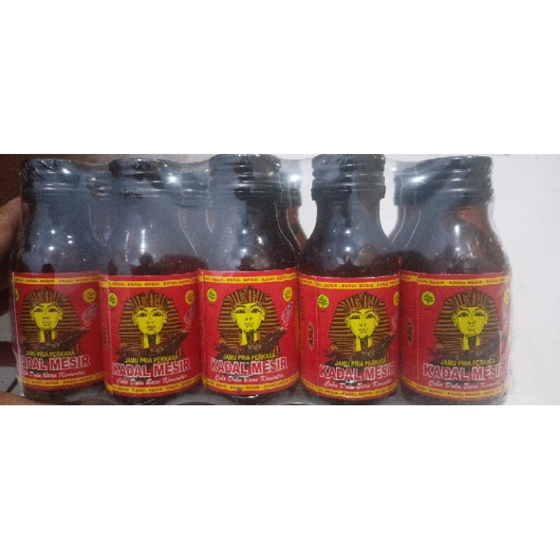 Kadal Mesir kecil 1 karton isi 60 botol