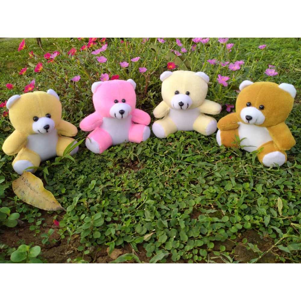 Boneka Beruang Mini Bukcet Wisuda