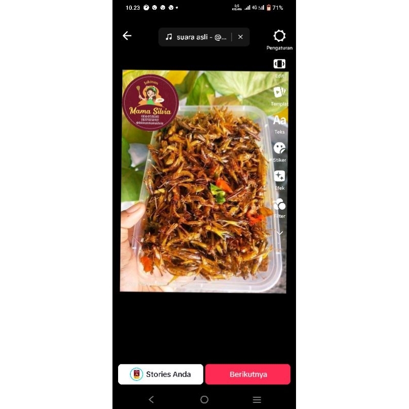 

Belalang Goreng Utis Pedas Gurih Gunungkidul