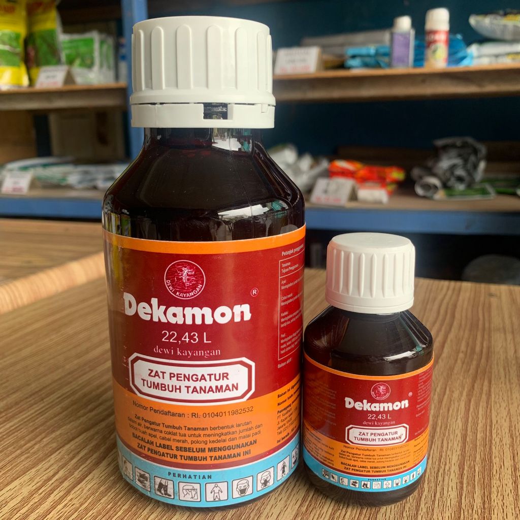 Dekamon / Zat Pengatur Tumbuh Tanaman