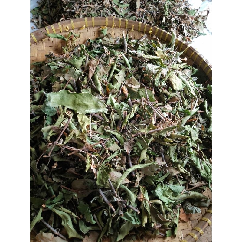 BENALU KOPI MURNI DAN ALAMI 1 KG / BENALU KOPI OBAT KANKER / BENALU KOPI KERING