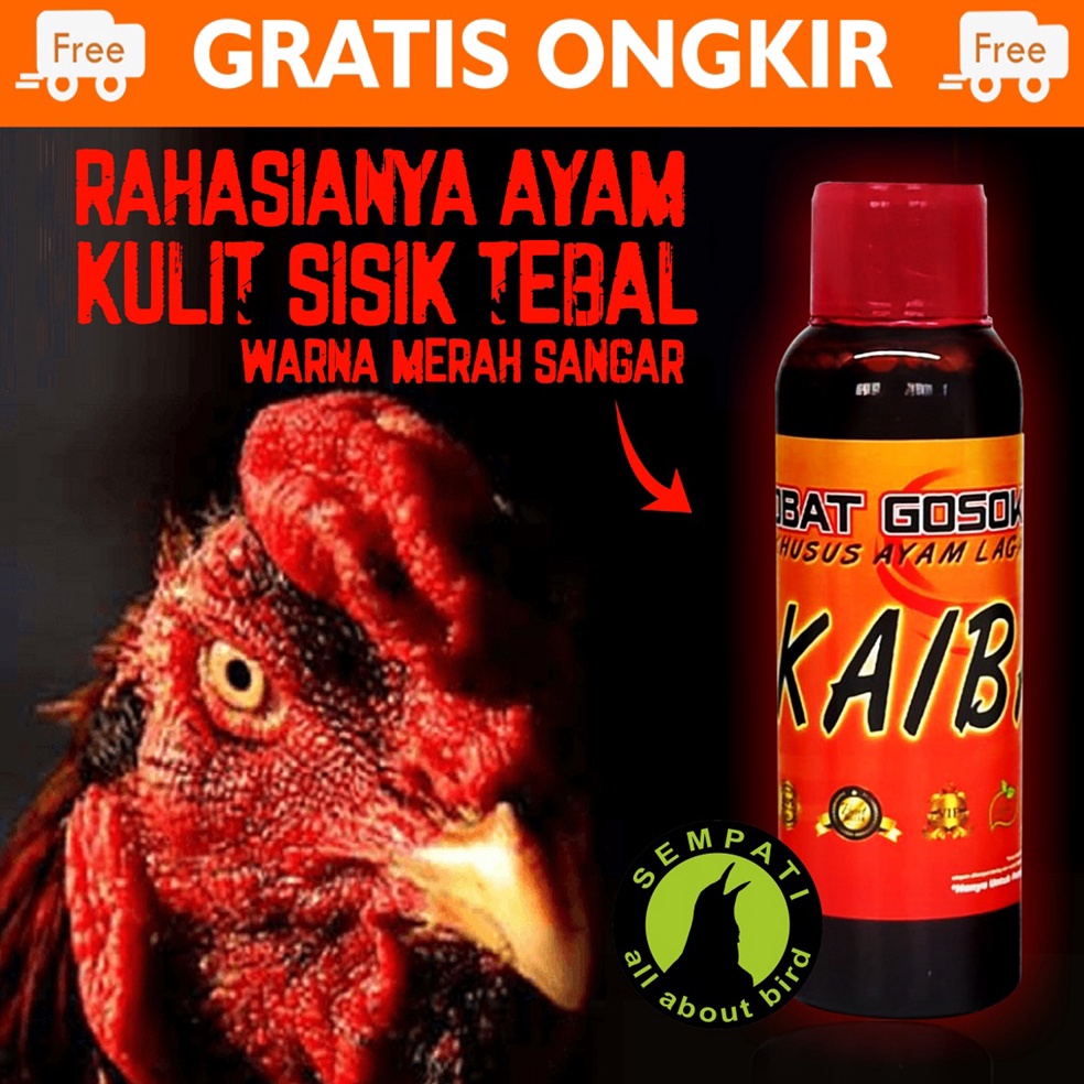 Berkualitas Obat Gosok Ayam Jago Laga Burung Merpati Arak Kaiba Obati Luka Dalam Atau Luar Ayam Pasc
