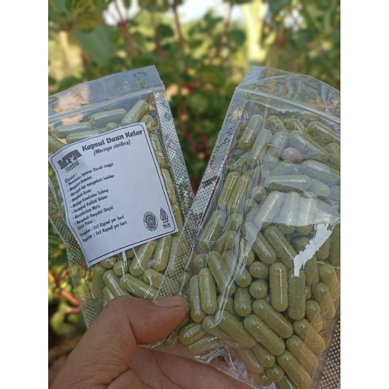 KAPSUL DAUN KELOR MURNI / DAUN KELOR ISI 100 KAPSUL