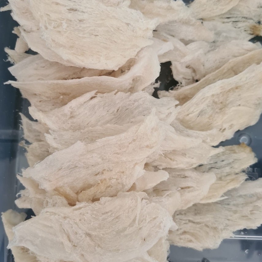 

Splash Sarang Burung Walet Birdnest Bersih Patahan Besar Sedang Kecil Natural Asli Yenwo Harga Per Gram