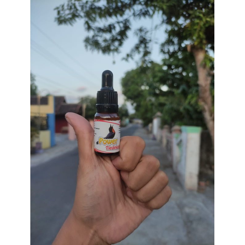 power tledekan_vitamin penggacor burung tledekan/sulingan